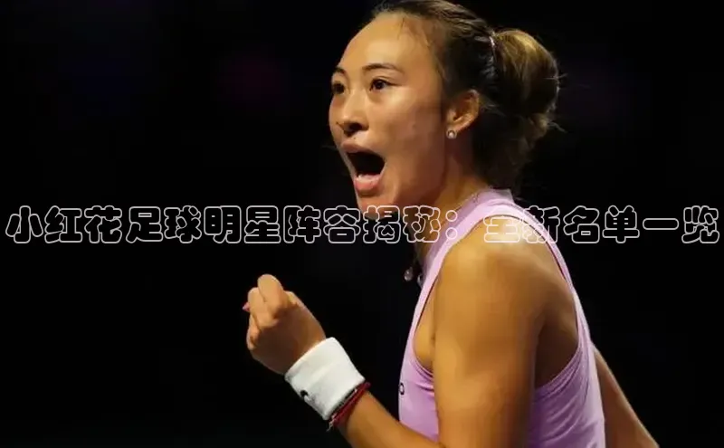 欧陆娱乐平台登录app小米小红花足球明星阵容揭秘：全新名单一览