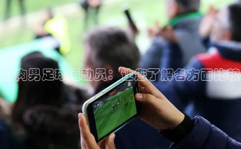 欧陆娱乐登录入口官网宇信科技肌肉男足球运动员：让您了解各方面比较