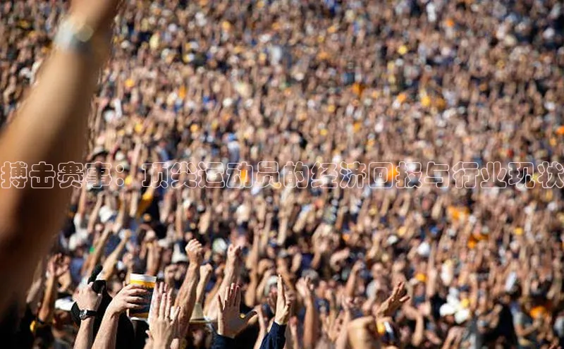 欧陆登录网址百度信誉搏击赛事：顶尖运动员的经济回报与行业现状