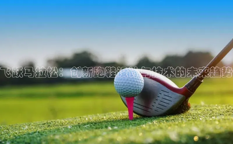 飞跃马拉松：创新跑鞋设计与技术的未来趋势