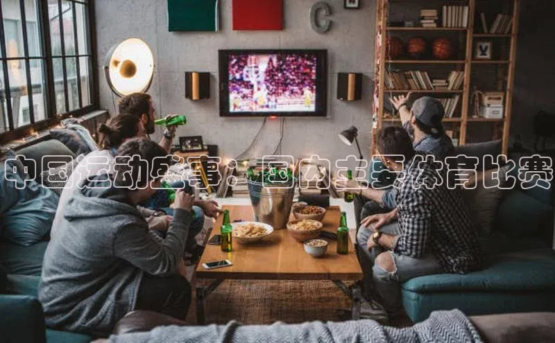 中国运动盛事：国内主要体育比赛