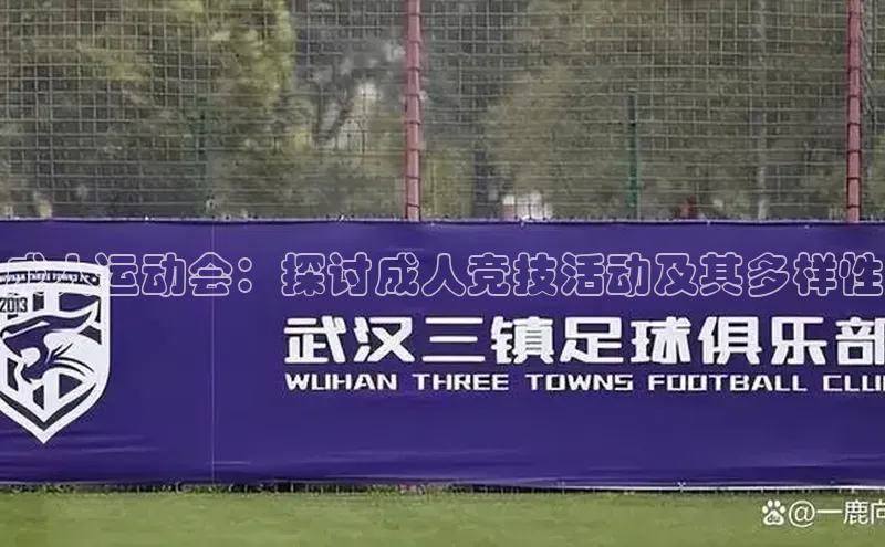 成人运动会：探讨成人竞技活动及其多样性