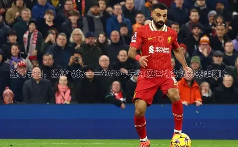 魅力宁河，激情飞扬——2023年宁河区运动会精彩赛事前瞻
