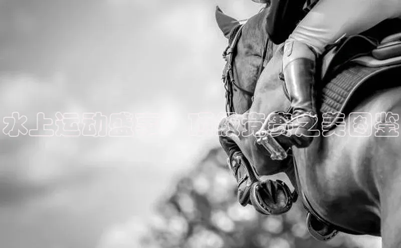 水上运动盛事：顶级竞赛之美图鉴