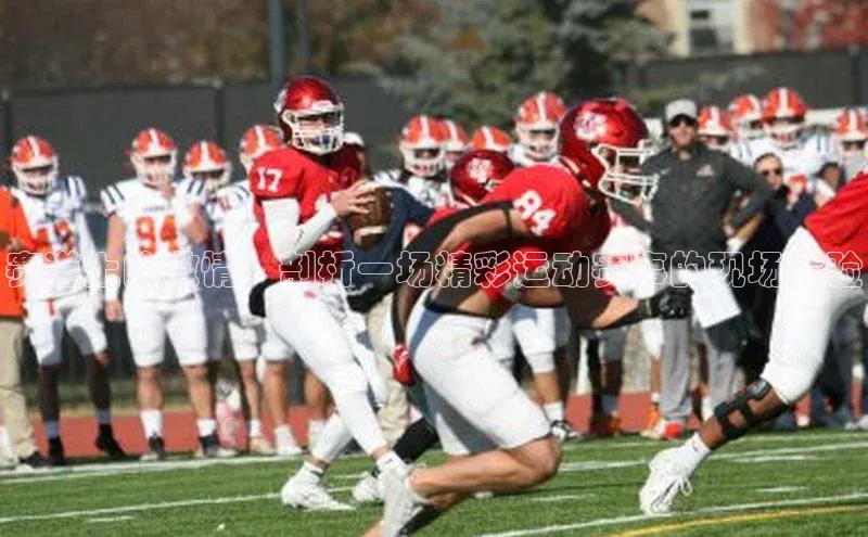 赛道上的激情：剖析一场精彩运动赛事的现场体验