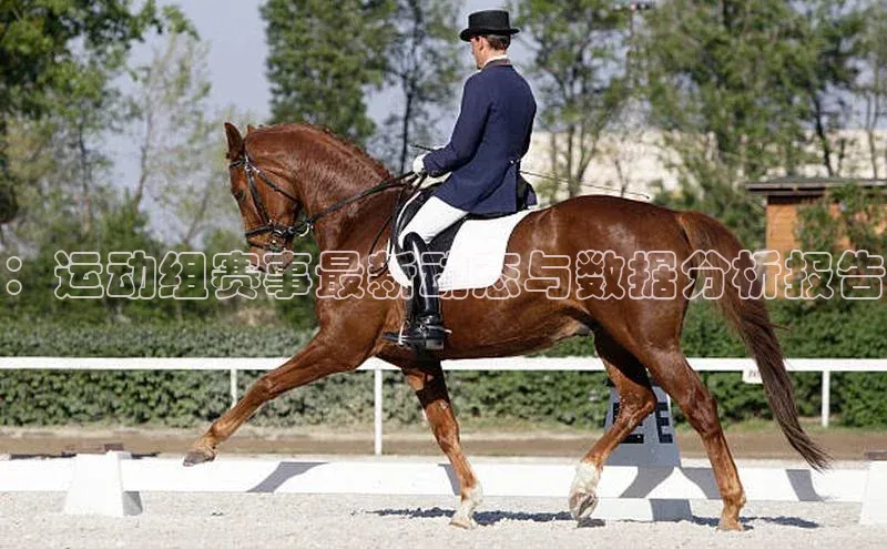 ：运动组赛事最新动态与数据分析报告