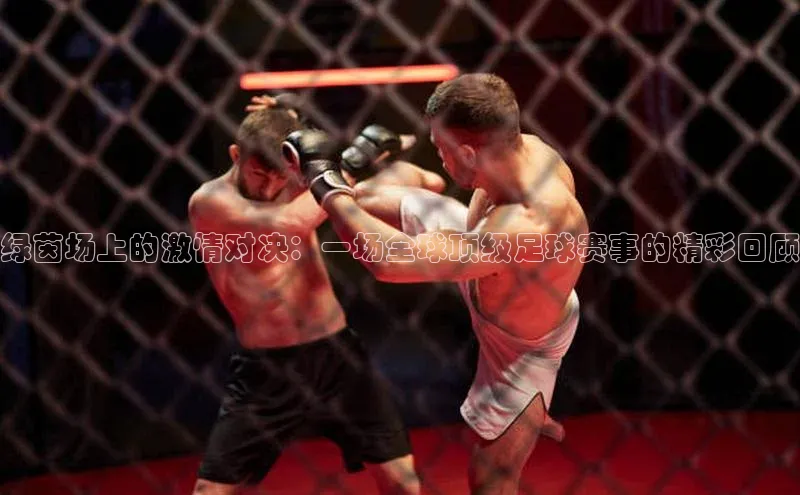 绿茵场上的激情对决：一场全球顶级足球赛事的精彩回顾