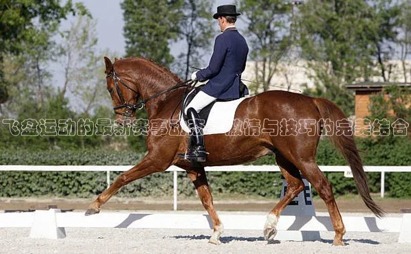飞盘运动的最新赛事动态：激情与技巧的完美结合