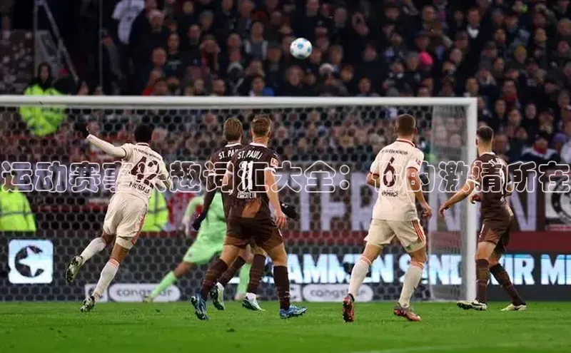 运动赛事兴趣词汇大全：你的激情所在