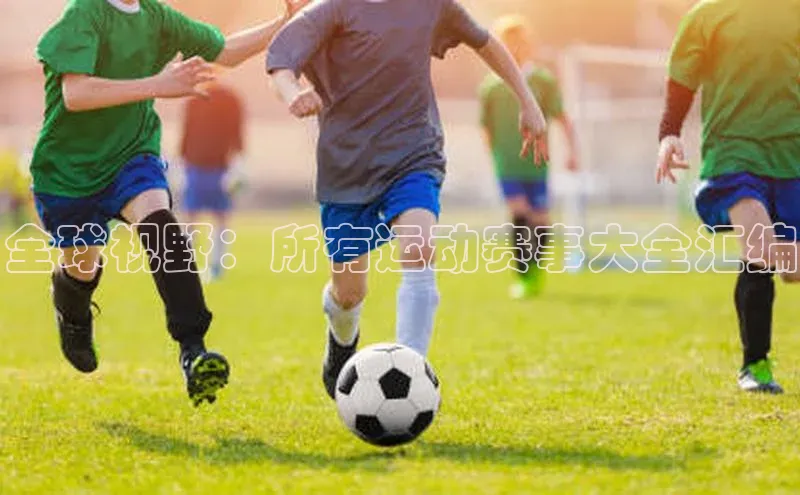 全球视野：所有运动赛事大全汇编