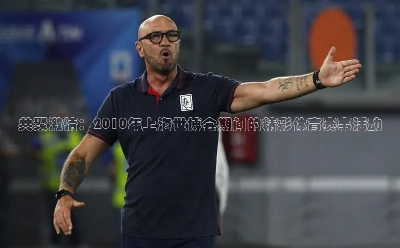 共聚激情：2010年上海世博会期间的精彩体育赛事活动