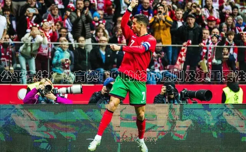 公平竞技：体育赛事中的核心原则及其重要性