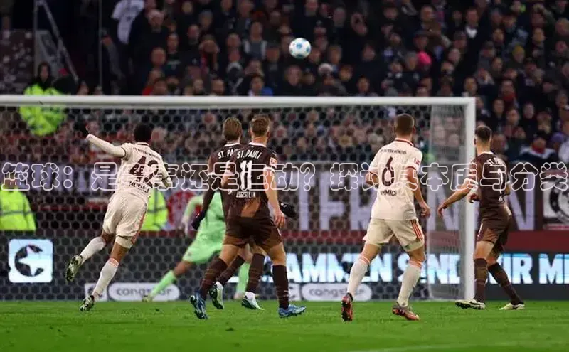 篮球：是赛事还是运动？探讨其本质与分类