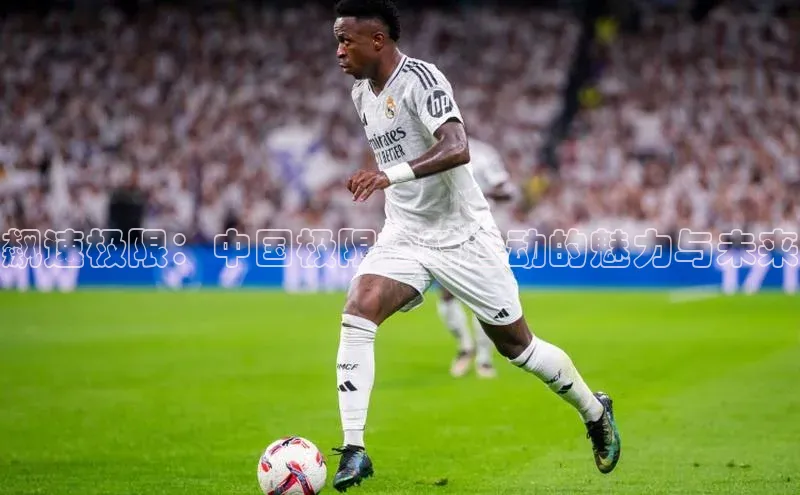 飙速极限：中国极限跑酷运动的魅力与未来