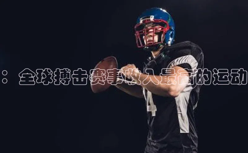 ：全球搏击赛事收入最高的运动